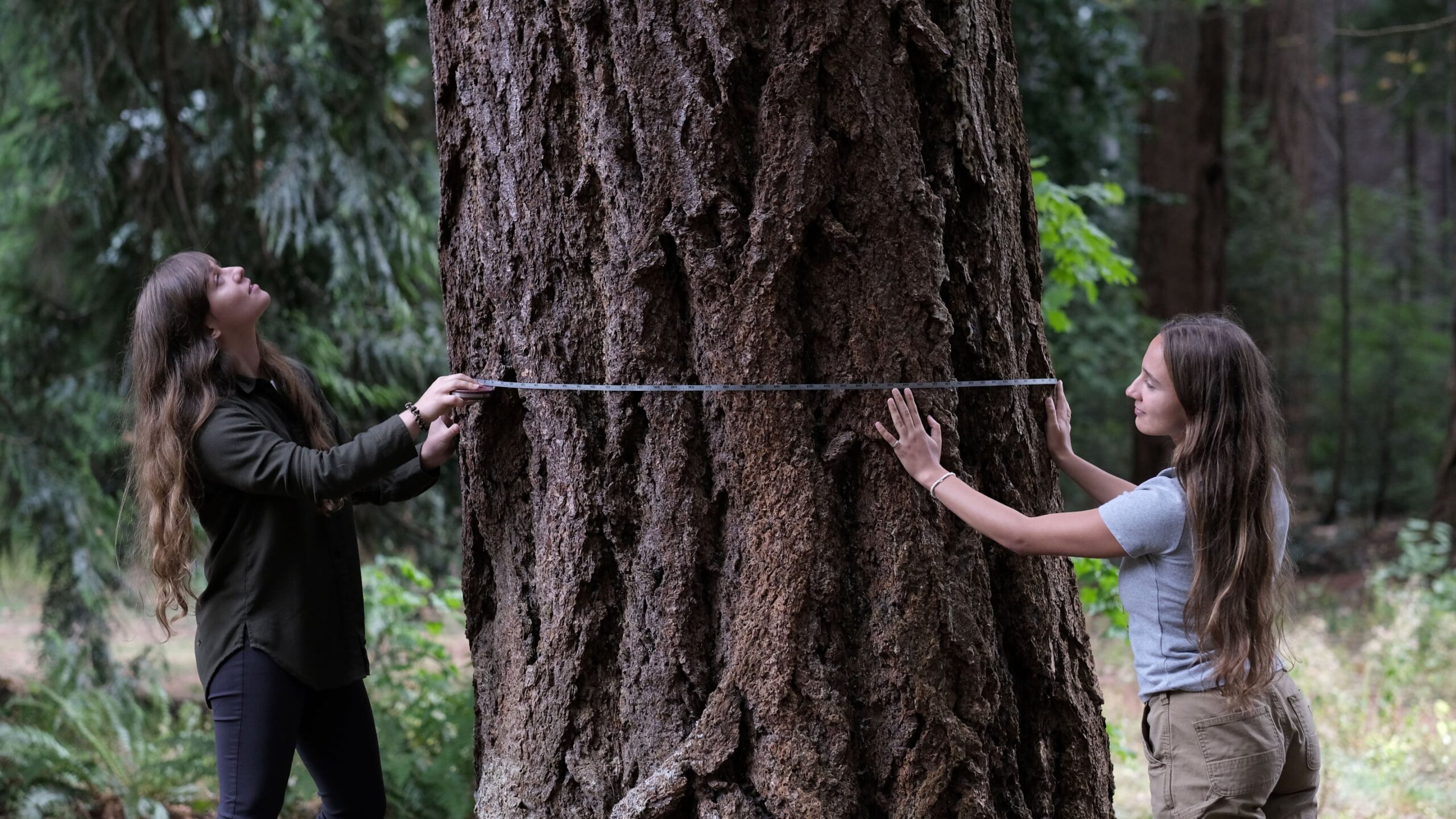 Port Colborne Public Library